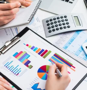 Professional Accountant