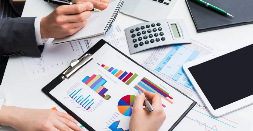 Professional Accountant