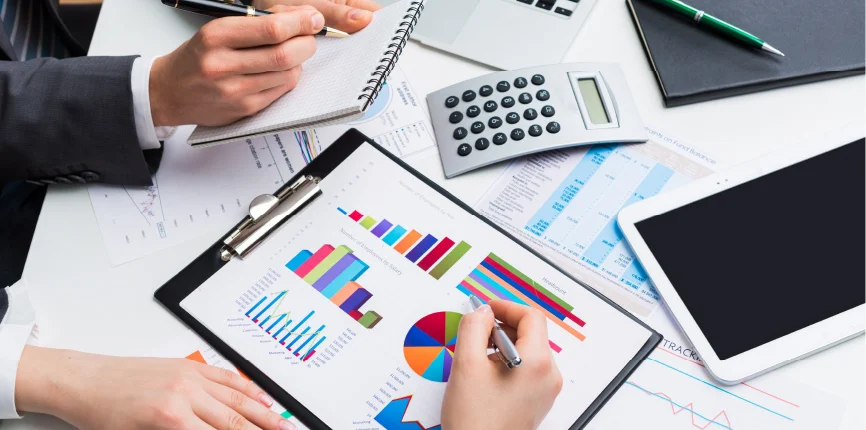 Professional Accountant